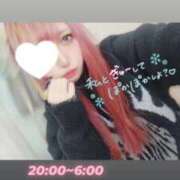 ヒメ日記 2025/02/18 00:28 投稿 にあ ウルトラグレイス24