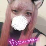 ヒメ日記 2025/02/22 01:52 投稿 にあ ウルトラグレイス24