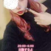 ヒメ日記 2025/02/25 17:40 投稿 にあ ウルトラグレイス24