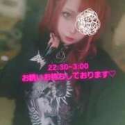 ヒメ日記 2025/03/18 17:20 投稿 にあ ウルトラグレイス24