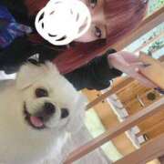 ヒメ日記 2025/05/12 15:54 投稿 にあ ウルトラグレイス24