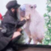 ヒメ日記 2025/06/15 16:52 投稿 にあ ウルトラグレイス24