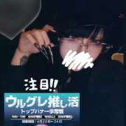 ヒメ日記 2025/06/20 01:50 投稿 にあ ウルトラグレイス24