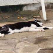 ヒメ日記 2025/06/26 07:10 投稿 にあ ウルトラグレイス24