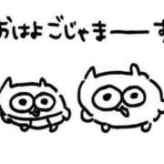 ヒメ日記 2026/01/14 06:35 投稿 にあ ウルトラグレイス24