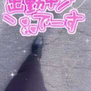 ヒメ日記 2025/01/27 12:50 投稿 みらん ウルトラグレイス24