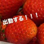 ヒメ日記 2025/04/03 11:31 投稿 みらん ウルトラグレイス24