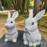 ヒメ日記 2025/07/14 18:37 投稿 みらん ウルトラグレイス24