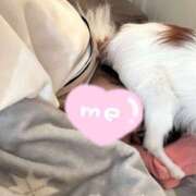 ヒメ日記 2025/02/27 08:08 投稿 さえか バイオレンス