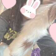 ヒメ日記 2025/04/01 07:15 投稿 さえか バイオレンス