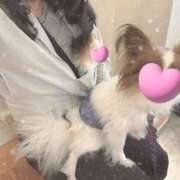 ヒメ日記 2025/05/15 18:55 投稿 さえか バイオレンス