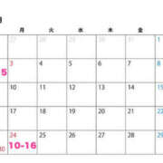 なぎさ 11月出勤予定🧡 ハピネス東京 吉原店