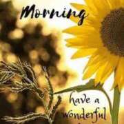 ヒメ日記 2025/02/08 09:55 投稿 とき マダム可憐