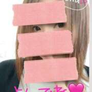 ヒメ日記 2025/04/02 12:17 投稿 とき マダム可憐