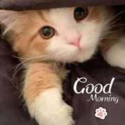 ヒメ日記 2025/05/08 09:32 投稿 とき マダム可憐