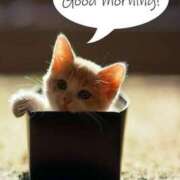 ヒメ日記 2025/05/09 09:48 投稿 とき マダム可憐