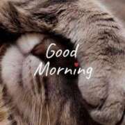 ヒメ日記 2025/05/19 09:23 投稿 とき マダム可憐