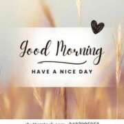 ヒメ日記 2025/06/09 08:51 投稿 とき マダム可憐