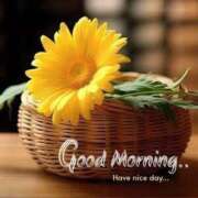 ヒメ日記 2025/07/04 09:09 投稿 とき マダム可憐