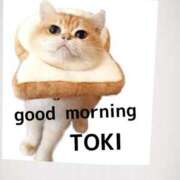 ヒメ日記 2025/07/07 09:25 投稿 とき マダム可憐