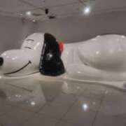 ヒメ日記 2025/01/20 08:52 投稿 ここみ 横浜Cute