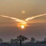 ヒメ日記 2025/04/17 17:31 投稿 香山 みなみ こあくまな熟女たち 千葉店（KOAKUMAグループ）