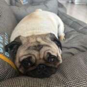 ヒメ日記 2025/08/02 15:08 投稿 りりか One More奥様　横浜関内店