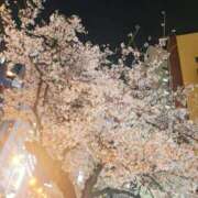 ヒメ日記 2026/03/31 20:34 投稿 香坂 十恋人～トレンド～