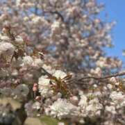 ヒメ日記 2025/05/04 00:10 投稿 とあ ドンファン