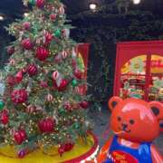 とあ 🎅🏻出勤🎅🏻 ドンファン