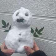 ヒメ日記 2026/02/12 12:14 投稿 とあ ドンファン