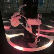 とあ 読んでね！ ドンファン