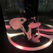 ヒメ日記 2026/03/17 21:07 投稿 とあ ドンファン