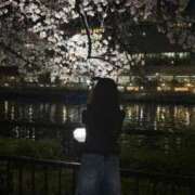 ヒメ日記 2026/04/29 14:00 投稿 とあ ドンファン