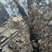 ヒメ日記 2025/04/06 15:27 投稿 とあ ヌーベル・マリエ