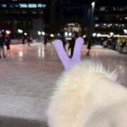 ヒメ日記 2025/12/12 21:02 投稿 とあ ヌーベル・マリエ