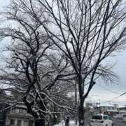 ヒメ日記 2026/02/14 15:48 投稿 とあ ヌーベル・マリエ