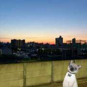 ヒメ日記 2025/05/08 10:55 投稿 佐藤あやこ 大阪ぽっちゃり妻 谷九店