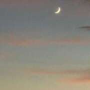 ヒメ日記 2025/08/07 11:30 投稿 佐藤あやこ 大阪ぽっちゃり妻 谷九店