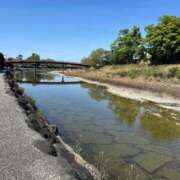 ヒメ日記 2025/08/05 17:47 投稿 らいら リッチドールフェミニン