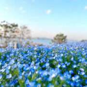 ヒメ日記 2026/04/25 22:07 投稿 らいら リッチドールフェミニン