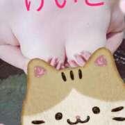 ヒメ日記 2025/03/29 16:48 投稿 けいと 北九州人妻倶楽部（三十路、四十路、五十路）