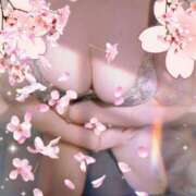 ヒメ日記 2025/04/02 15:33 投稿 けいと 北九州人妻倶楽部（三十路、四十路、五十路）