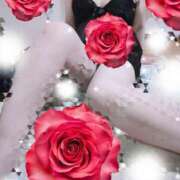 ヒメ日記 2025/04/15 10:48 投稿 けいと 北九州人妻倶楽部（三十路、四十路、五十路）