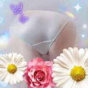 ヒメ日記 2025/04/26 12:03 投稿 けいと 北九州人妻倶楽部（三十路、四十路、五十路）