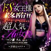 NH一ノ瀬ラム ２７日降臨🩷 SPICY×MILK SHAKE ニューハーフ専門×痴的美少女専門