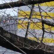 ヒメ日記 2026/03/10 12:34 投稿 舞 人妻倶楽部　ひまわり