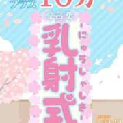 ヒメ日記 2026/04/03 19:45 投稿 舞 人妻倶楽部　ひまわり