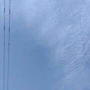 ヒメ日記 2026/06/11 15:49 投稿 舞 人妻倶楽部　ひまわり