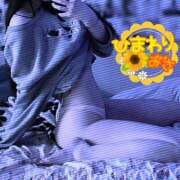 ヒメ日記 2026/03/06 03:29 投稿 みさ 人妻倶楽部　ひまわり